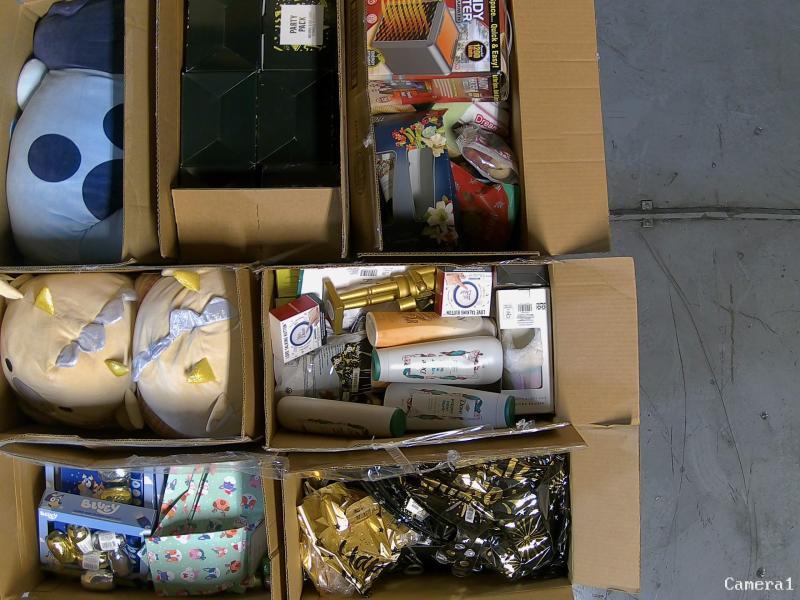 General Merchandise - Laser X Double Blasters, Playright Christmas Tree Plush, Ivizia Eye Drops - MSRP $6,899