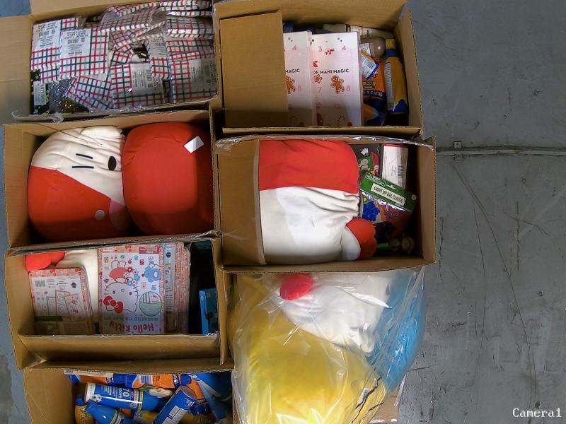 General Merchandise - Revlon Hot Styler, Brookstone Cotton Candy Maker, Peanuts Snoopy Slipper - MSRP $11,914