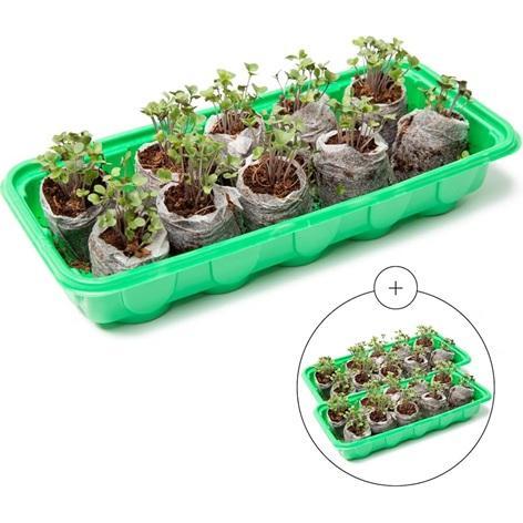 NEW - Window Garden 20 Cavity Seed Propagation Kits - MSRP $251