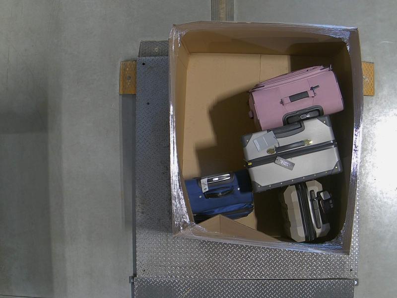 Luxury Department Store - Luggage
