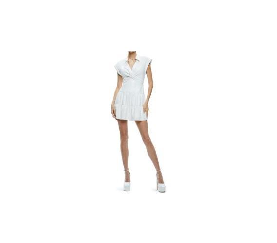 Apparel - Alice & Olvia Mila Dress, Levi's, Free People, Nike, SKIMS, Wacoal, SPANX, Natori - Original MSRP $2,685
