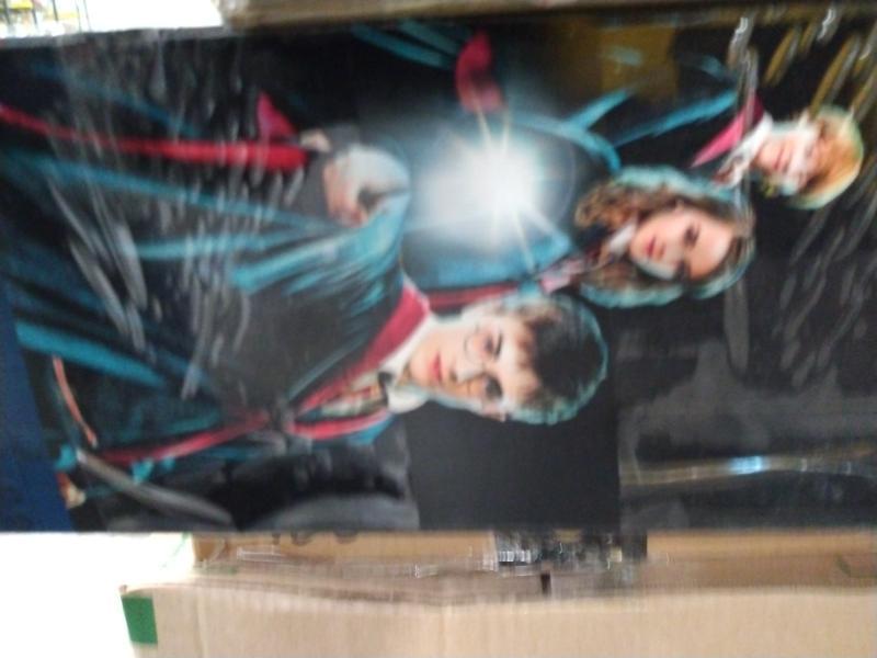 Unprocessed Manifested AMZ LPN Pallet - LEGO HP Hogwarts Castle, Snow Blower, Gymnastics Air Mat - MSRP $1,729