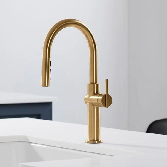 Home Improvement- Kohler, Elkay, Pfister, Wind River, Moen - MSRP $10,128