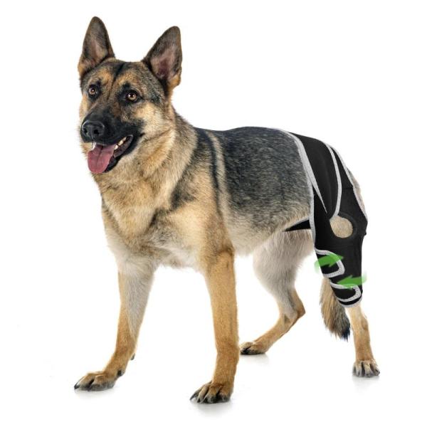 Pet Products - Pawfun Dog Knee Brace for Torn ACL, YOGAL Dog Bark Shock Collars- MSRP $11,444