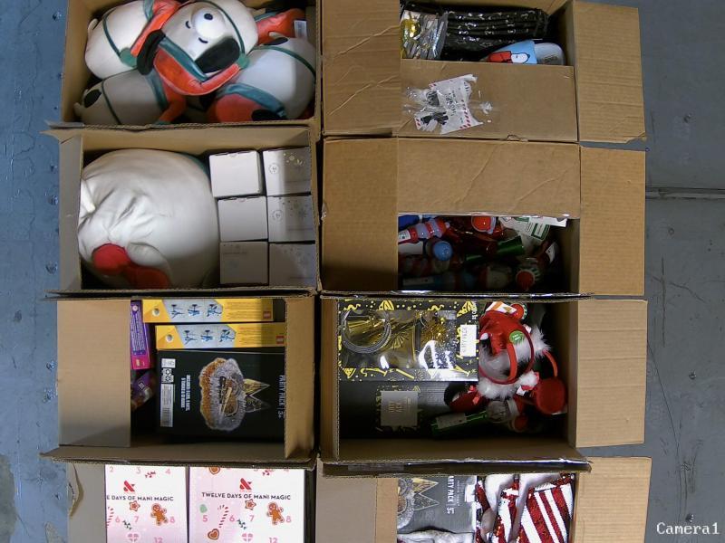 General Merch - Squishmallows Nanette Bigfoot Plush, Altec Lansing Earbuds, West Loop Women's T-Shirt - MSRP $7,270