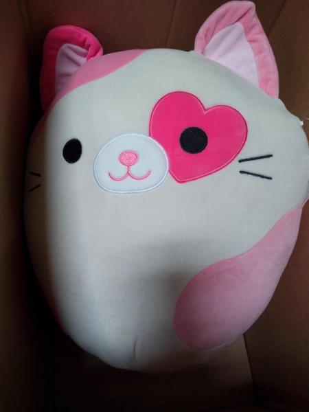 Toys & Games - Zuru Snackles Plush, Lulla Baby Plush Bath Doll, Hedstrom Bluey Bowling Set - MSRP $5,109