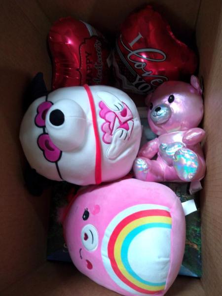 Toys & Games - Play Doh Blooming Flowers, VTech Bluey Drum Set, Captain Rex Y-Wing Microfighter - MSRP $6,296