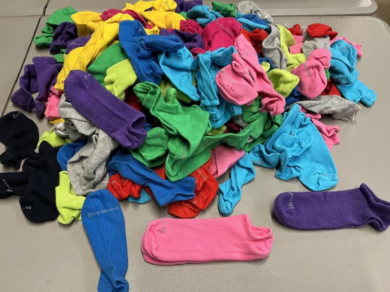 300 Pair Womenâs No Nonsense Cotton Blend No Show Socks