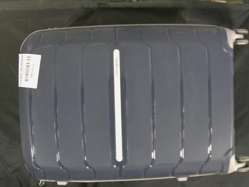 Luxury Department Store - Luggage