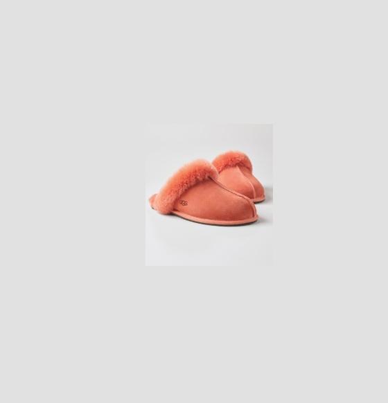 UGG Slippers & Assorted Shoes - Original MSRP $1,976