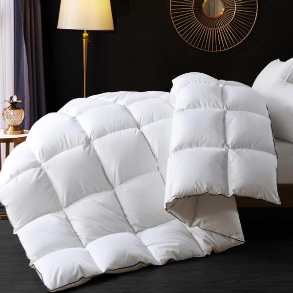 Home - Ubauba Down Comforter, Fyova Neck Pillow, Sedlav Picture Frame - MSRP $1,189