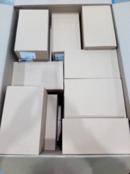 General Merchandise - Eerie Gripping Hand Planter, Gothic Winged Skeleton Resin Sculpture - MSRP $779