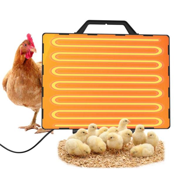 Grocery - Xbrigh Chicken Coop Heaters, Ruth Hunt Candy Woodford Reserve Bourbon Ball Gift Boxes, PALMER - MSRP $4,255