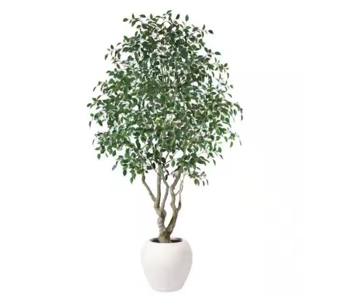 Home Decor - DR.Planzen, Coaster, Poly and Bark  - Est Retail $2,873 - 1 plt