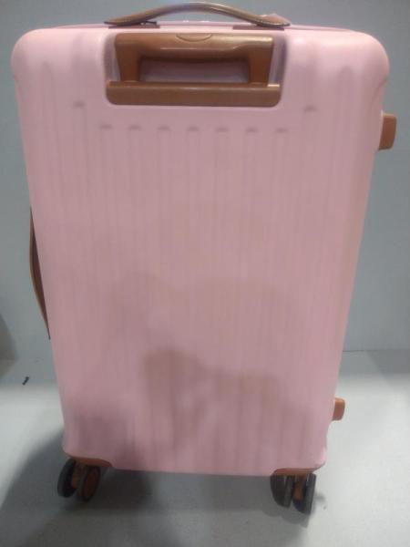 Luxury Department Store - Luggage
