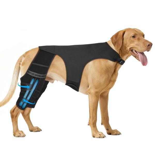 Pet Products - Dadypet Cat Carrier, MerryMilo Dog Leg Brace, Dooob Cat Water Fountain - MSRP $1,120