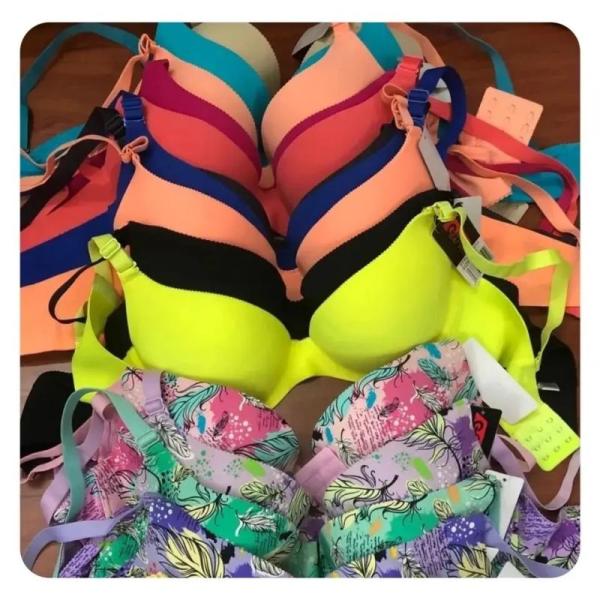 New Women's Lingerie - 240 Bras & Underwear - MSRP $3,356