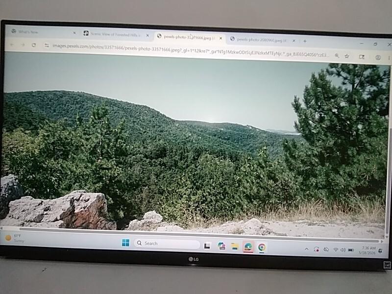 A Grade - LG 32" LED LCD Monitor 3840x2160 16:9 VA AMD - MSRP $349