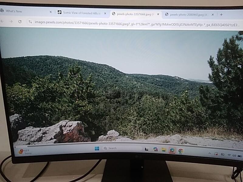A Grade - LG 32BR50C-B 32" Curved FHD Monitor with 100 Hz Refresh Rate, Black - MSRP $219