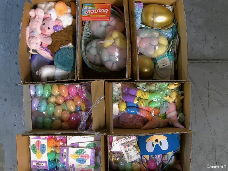 General Merchandise - Silly Rabbit Easter, Beverly Hills Teddy Bear, Poise Ultimate Coverage- MSRP $6,114