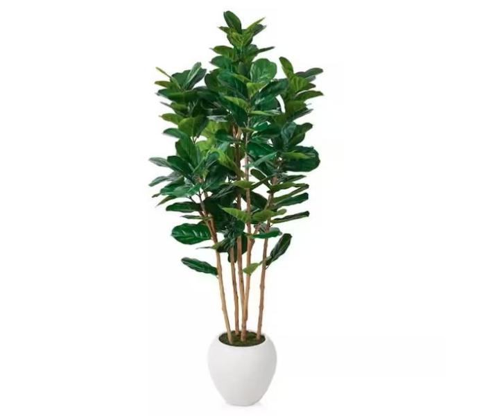 Home Decor - DR.Planzen, Lazzara - Est Retail $1,213- 1plt