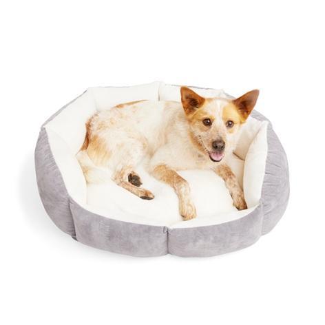 Pallet of Pet Supplies - Pack of 4 EveryYay Lavender Orthopedic Dog Beds (20" L X 17" W) - MSRP $119