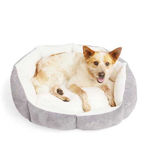 NEW - EveryYay Lavender Orthopedic Dog Beds, 20" L X 17" W - MSRP $119