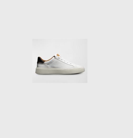 Shoes - Allen Edmonds, Tory Burch, Birkenstock, Hoka, Brooks, Adidas, Vionic, Steve Madden - Original MSRP $5,007