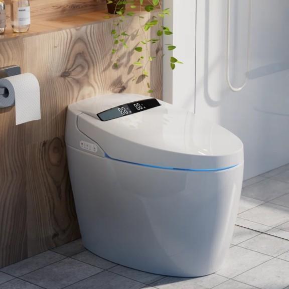 Home Decor - BcanHome Smart Bidet Toilet, Dearbhaile Bookcase, Jessine Metal Box Spring - MSRP $2,836
