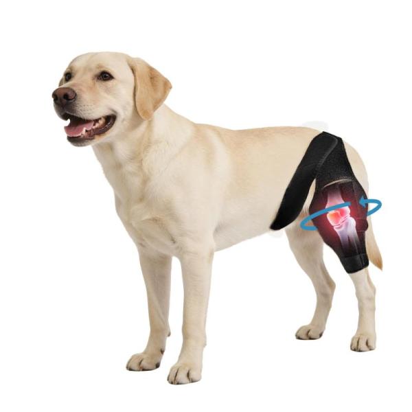 Pet Products - Noorace Dog Knee Brace, Petrendy Heated Dog Bed, Poppaw Dog Chews - MSRP $6,612