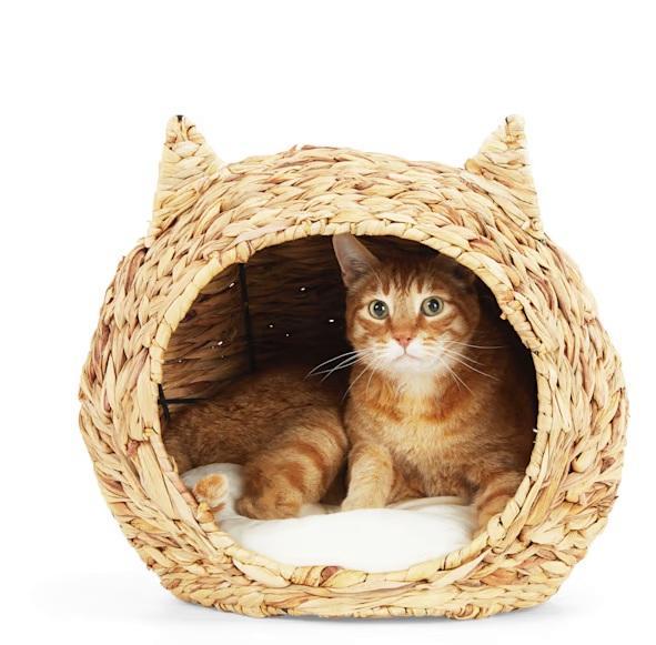 NEW - Pallet of Pet Supplies - EveryYay Straw Cat Head Beds, 16.5" L X 14.2" W X 14.5" H - MSRP $559