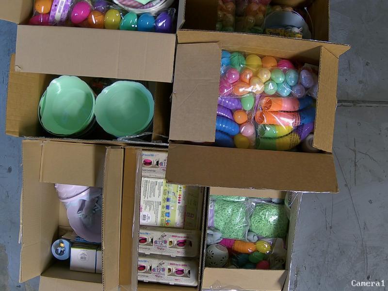 General Merchandise- Silly Rabbit Easter Eggs, Festive Voice Paper Grass, Sega Sonic Hedgehog  - MSRP $5,275