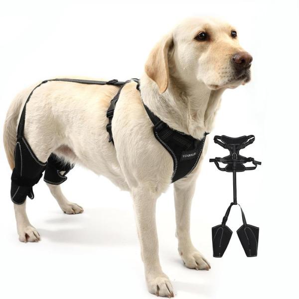Pet Products - YENBOLOI Dog Knee Braces, Klyyo Clyro HD Rubber Horse Stall Mats, Pawfun Dog Knee Brace - MSRP $8,376