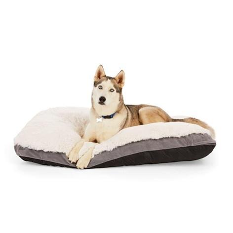 Pallet of Pet Supplies - Pack of 4 EveryYay Essentials Snooze Fest Lavender-Scented Dog Beds (36" L X 48" W X 3" H) - MSRP $399