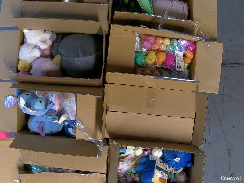 General Merchandise - Silly Rabbit Easter Eggs, Sunbeam Heat Wrap, Bluey Plush - MSRP $5,683