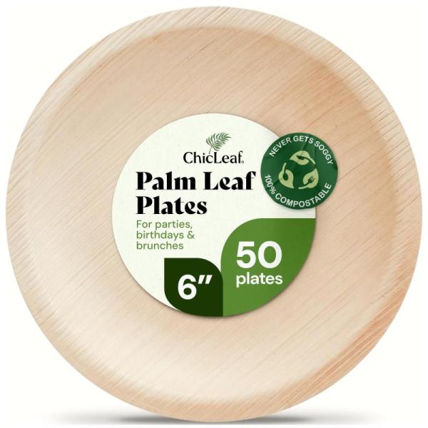 Kitchen - CleverCode Lunch Bag, Chic Leaf Palm Leaf Plates, Kalita Wave Dripper - MSRP $7,748