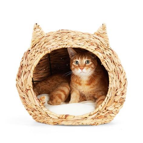 Pallet of Pet Supplies - Pack of 8 EveryYay Straw Cat Head Beds (16.5" L X 14.2" W X 14.5" H) - MSRP $559