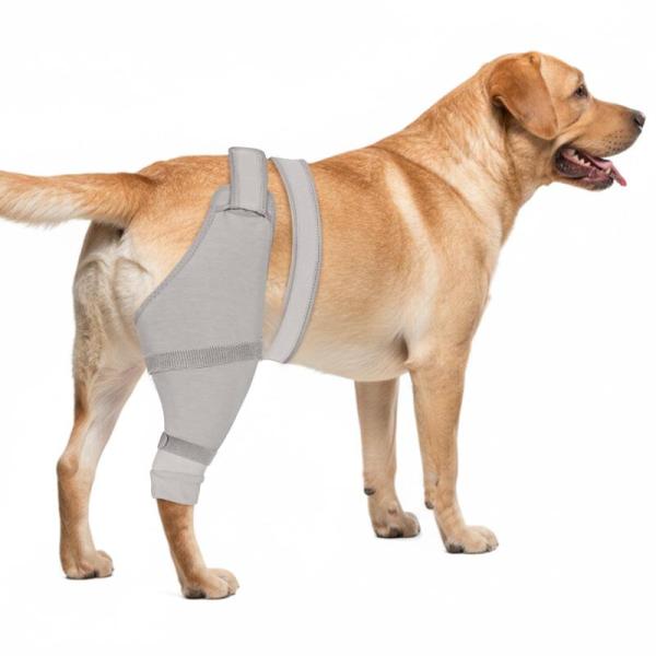 Pet Products - Joypig Dog Rear Leg Sleeves, GoGoPaw Dog Knee Braces, ZOOFLUX 2pk Pet Hair Removal Gloves - MSRP $5,256