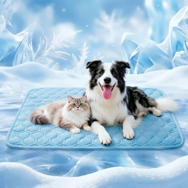 Pet Products - Dgdgcool Dog Cooling Mats, AKAILEA No-Pull Dog Harnesses, DoubleCare Cat Scratchers - MSRP $8,691