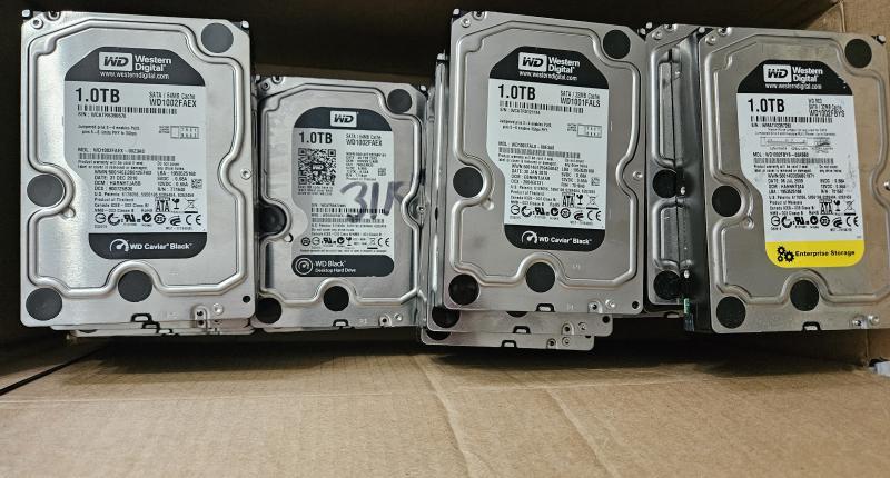 HARD DRIVES - WESTERN DIGITAL (WD) 1TB 3.5" SATA DRIVES (SALVAGED)