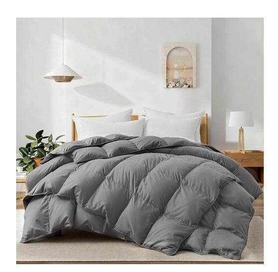 Lightweight Feather Down Fiber Comforter King, Gpaentsn Silver Waterproof Class C/Large Class B RV Cover - MSRP $1,565