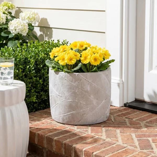 Home Decor - Potomac Cement Pot Planter, Latitude Run Curtains, Bergen Square Passage Knobset - MSRP $5,647