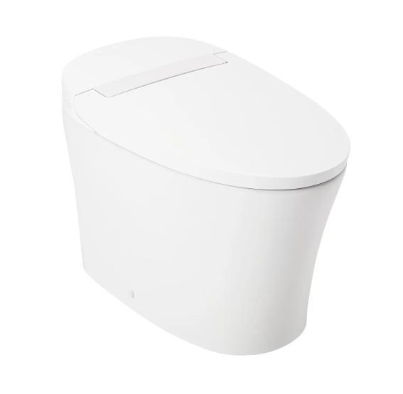 Signature Hardware 477058 Toilet/Bidet - MSRP $713