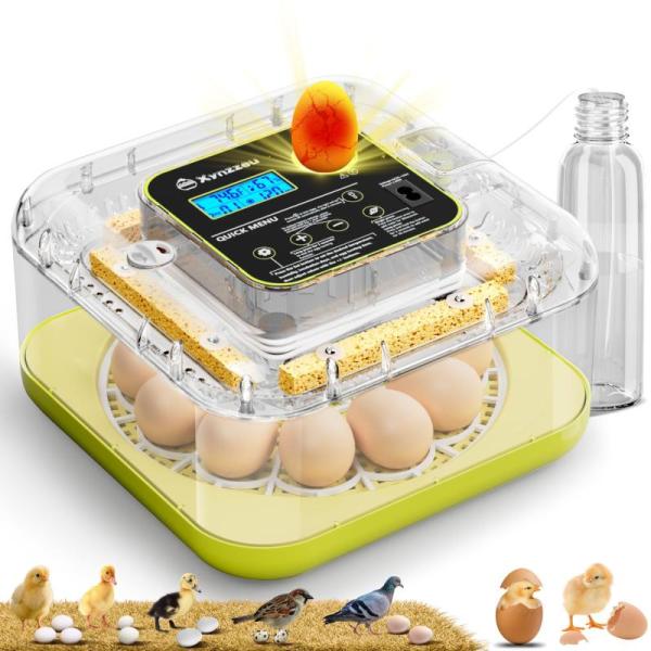 Kitchen - 12 Egg Incubator, Berlinzo Ice Cube Mold, Deepstone Diatomite Dish Mat - MSRP $7,467